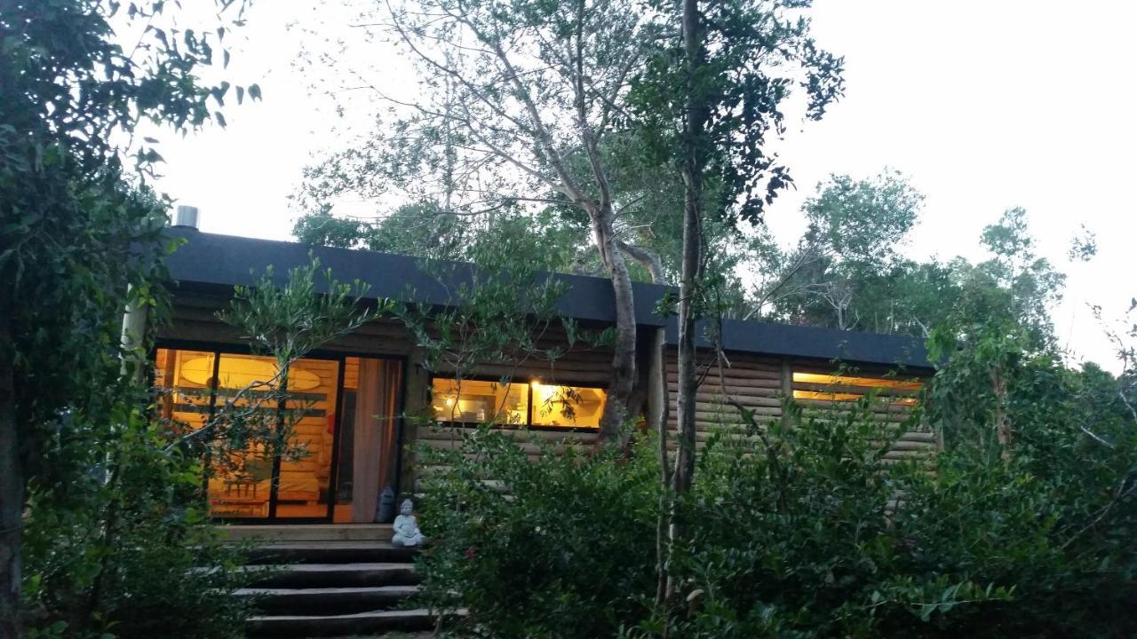 Chalet Los Troncos Sauce de Portezuelo Luaran gambar